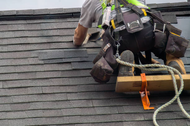 Best Roof Moss and Algae Removal  in Divernon, IL