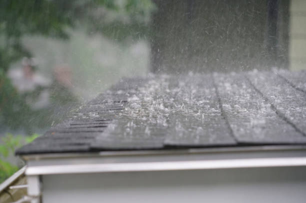 Best Rubber Roofing (EPDM, TPO)  in Divernon, IL