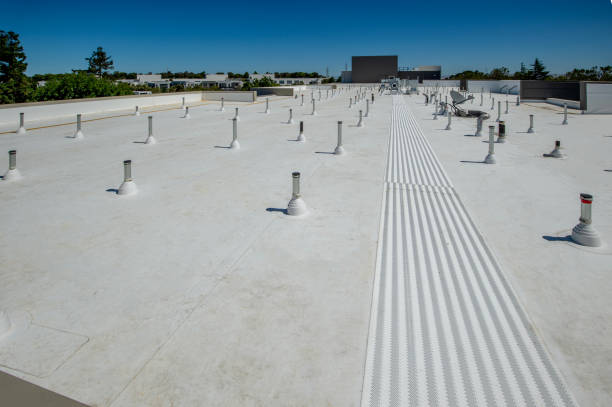 Best Asphalt Shingle Roofing  in Divernon, IL